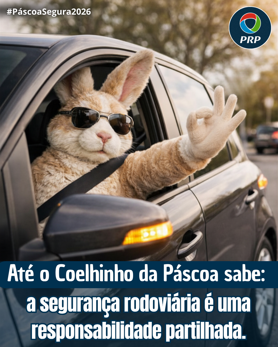 PRP_Páscoa Segura_Até o Coelhinho da Páscoa sabe